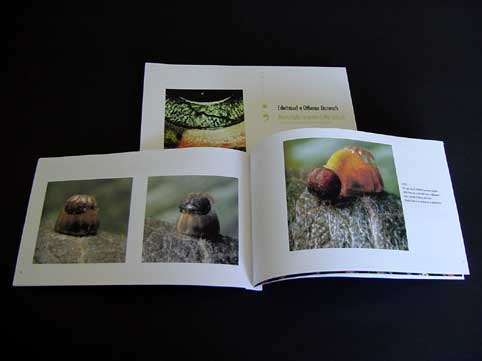 interno collana immagine natura